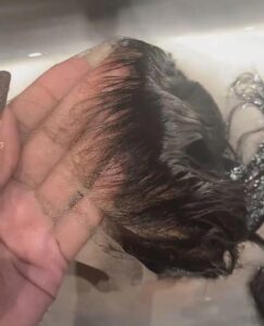 Virgin Human Hair Straight 13x4 13x6 HD Lace Frontal photo review